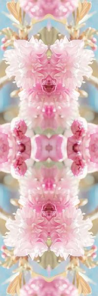 樱花印花华亿平台图片