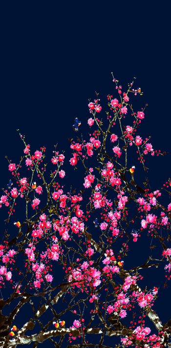 614044-定位桃花 藏青