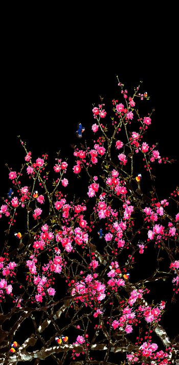 614045-定位桃花 黑色