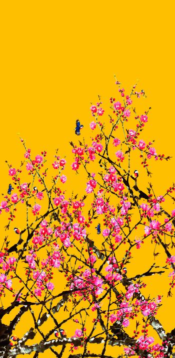 614046-定位桃花 黄色