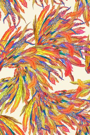 羽毛印花华亿平台图片