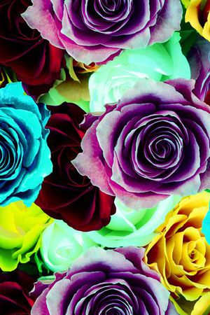 大花印花华亿平台图片