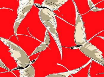 614460-大雁 红色