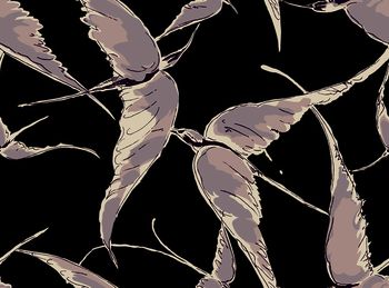 614462-大雁 黑色