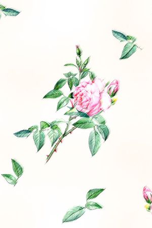 风效果印花华亿平台图片