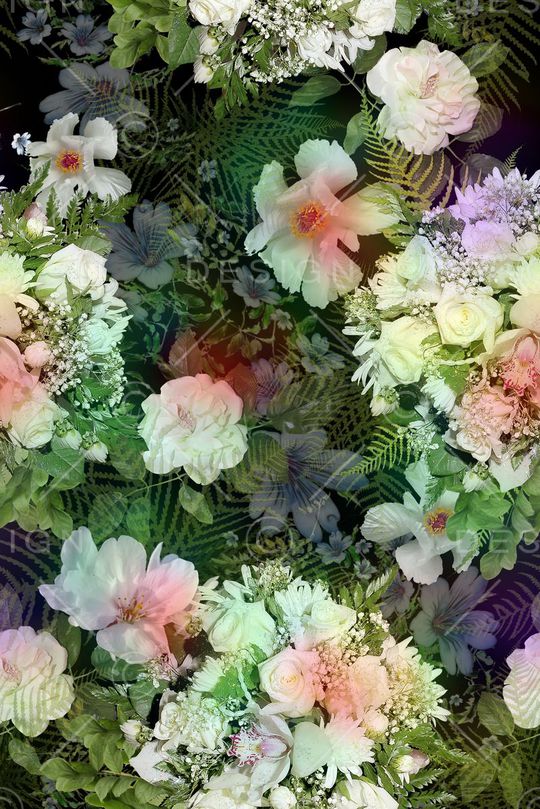 零点--女装印花华亿平台图片