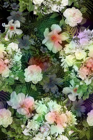 零点--女装印花华亿平台图片