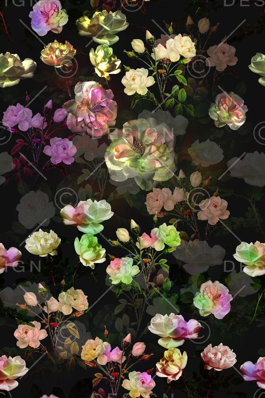 零点--女装印花华亿平台图片