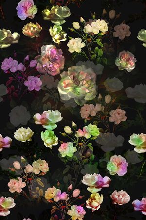 零点--女装印花华亿平台图片