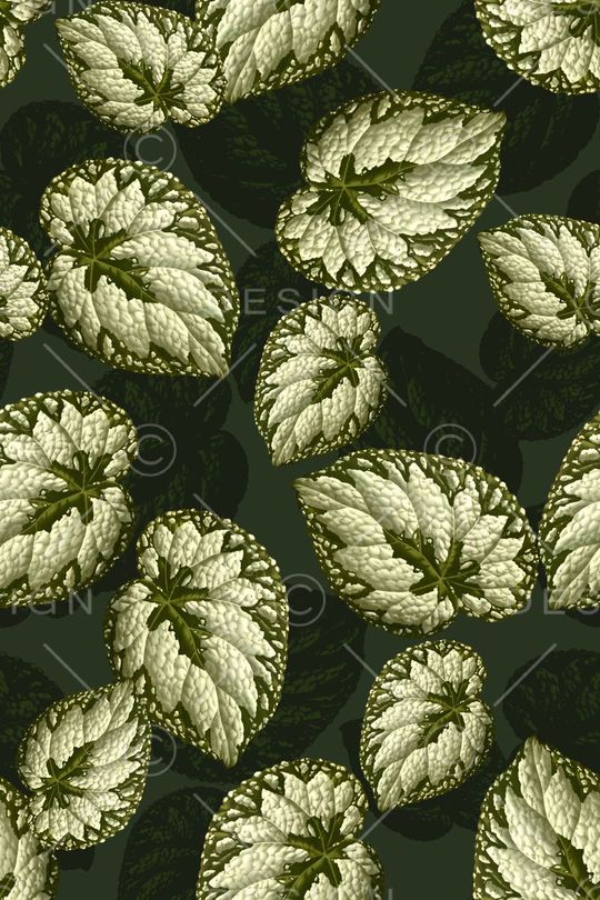 抽象几何清爽梦幻艺术平底立体手绘满版最新高清数码蕾丝民族中国风绣花珠宝肌理时尚潮

流大牌复古欧美风树叶印花华亿平台图片