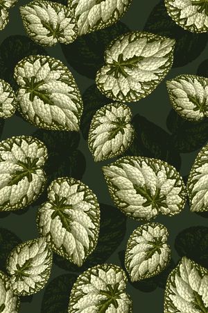 抽象几何清爽梦幻艺术平底立体手绘满版最新高清数码蕾丝民族中国风绣花珠宝肌理时尚潮

流大牌复古欧美风树叶印花华亿平台图片