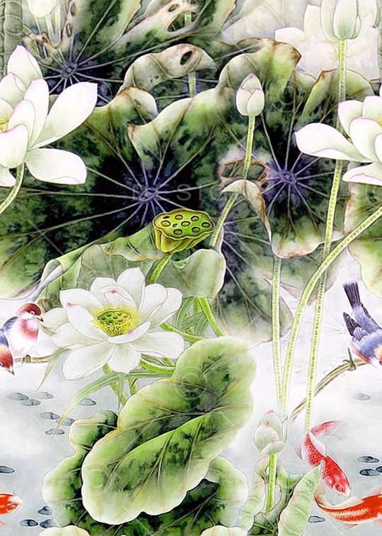 荷花印花华亿平台图片