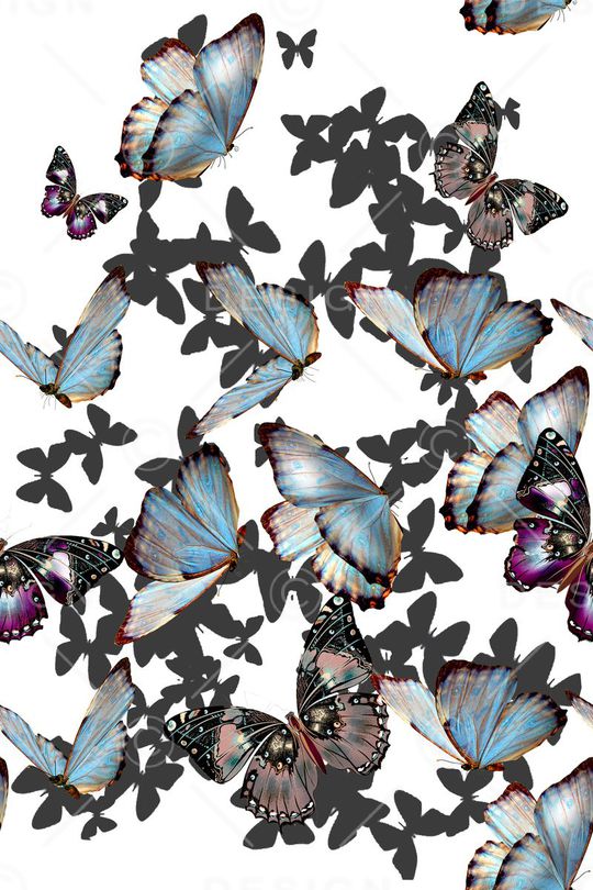 蝴蝶印花华亿平台图片