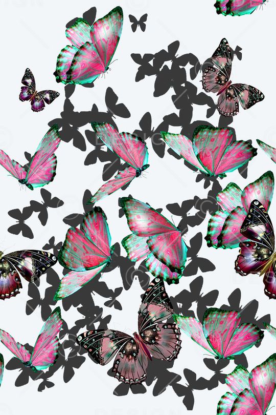 蝴蝶印花华亿平台图片