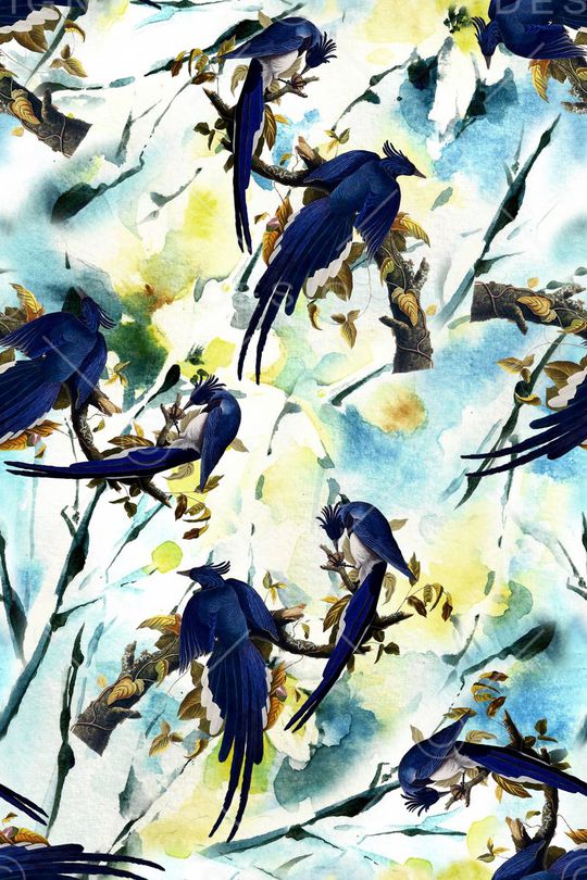 鸟印花华亿平台图片