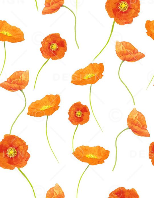 泳装印花华亿平台图片