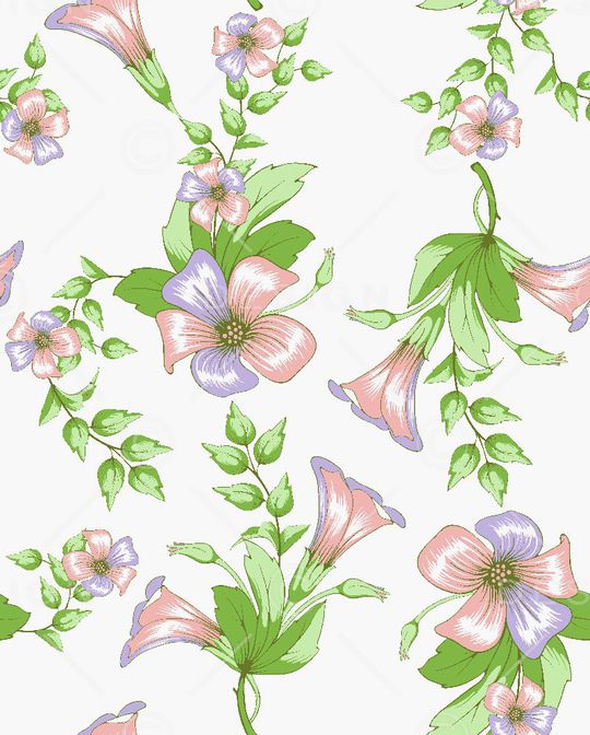 泳装印花华亿平台图片