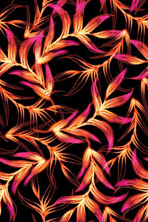 热带印花华亿平台图片