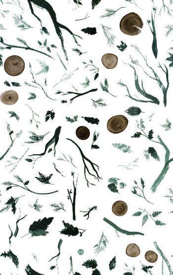 615067-植物毛笔画 白色