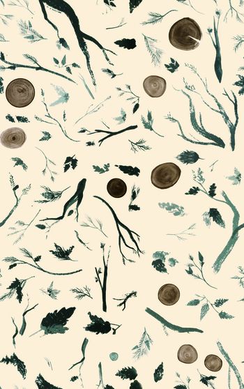 615070-植物毛笔画 浅杏