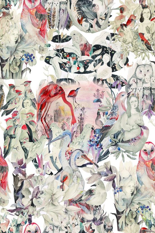 鸟儿印花华亿平台图片