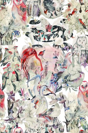 鸟儿印花华亿平台图片