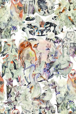 鸟儿印花华亿平台图片