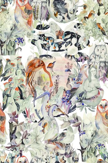 615198-ML343副本-1