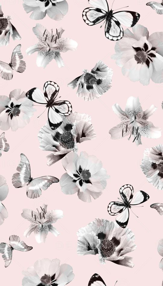 花卉、蝴蝶、纯底印花华亿平台图片