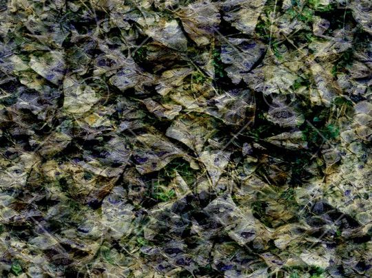 肌理纹印花华亿平台图片