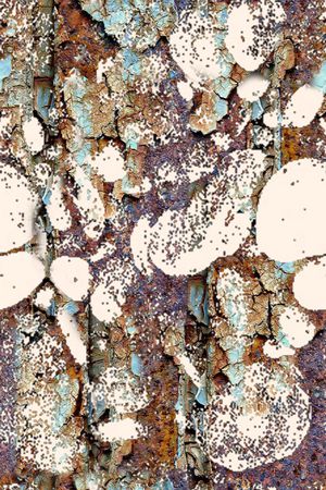 树皮肌理印花华亿平台图片