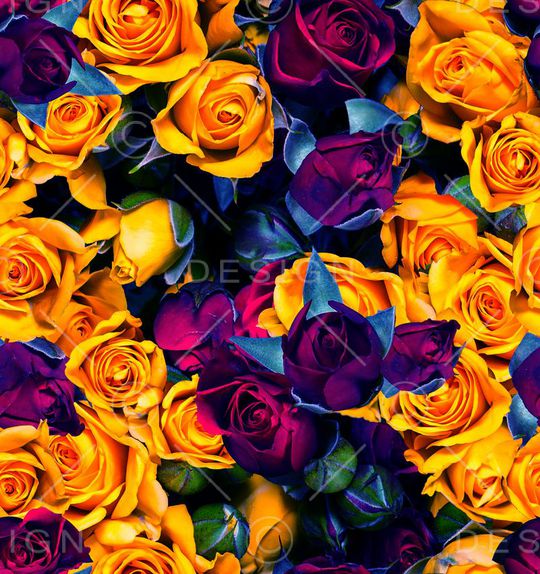 时尚印花华亿平台图片