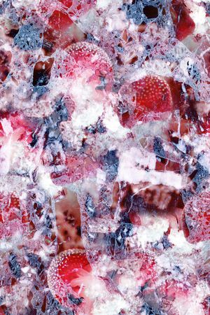 水母印花华亿平台图片