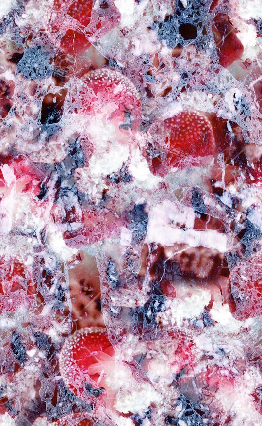 水母印花华亿平台图片