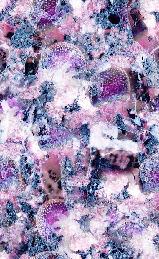 水母印花华亿平台图片