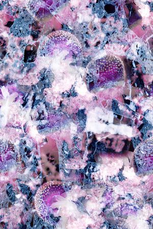 水母印花华亿平台图片