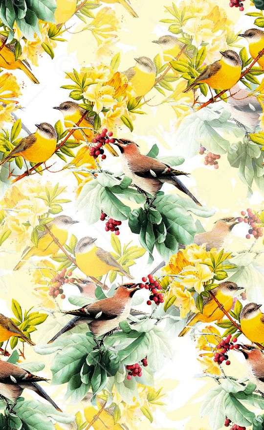 鸟印花华亿平台图片