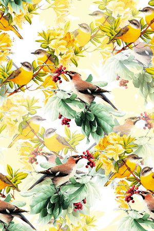 鸟印花华亿平台图片