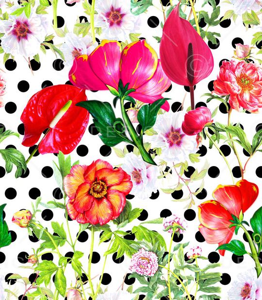 Dolce&Gabbana印花华亿平台图片