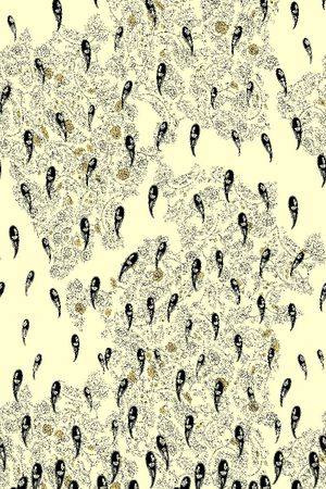 佩斯利印花华亿平台图片