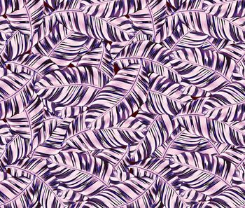 615686-芭蕉叶热带植物绿叶华亿平台