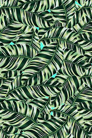 热带植物印花华亿平台图片