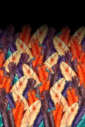 615694-fyf-1604-19-03-a