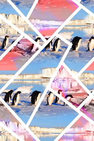 幻彩冰川企鹅印花华亿平台图片