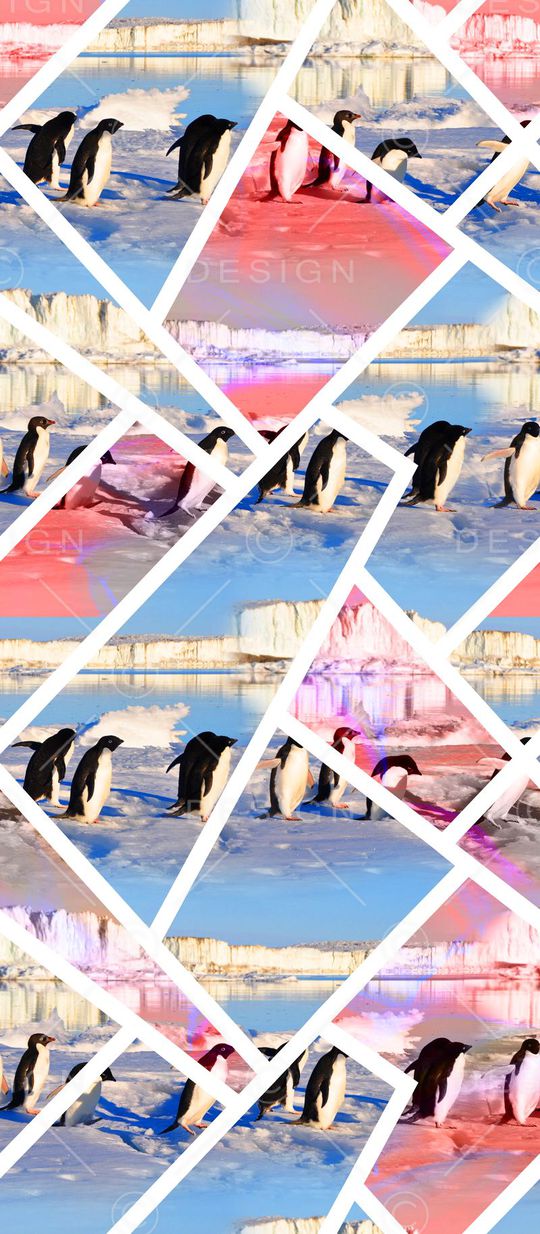 幻彩冰川企鹅印花华亿平台图片