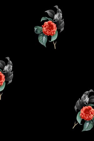 复古印花华亿平台图片