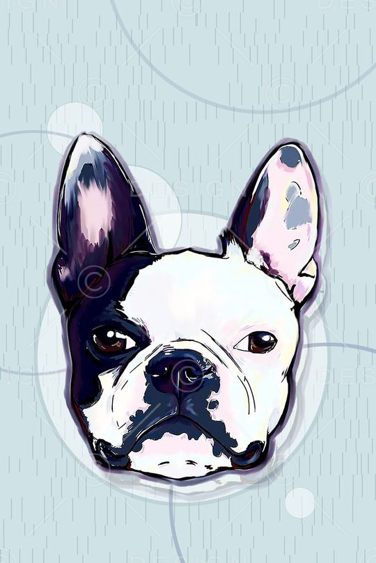 动物印花华亿平台图片