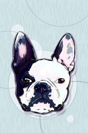 动物印花华亿平台图片