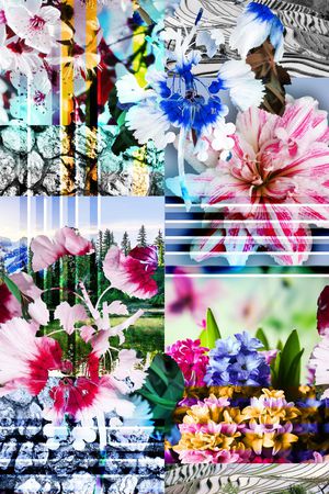 花卉、纹理、风景印花华亿平台图片