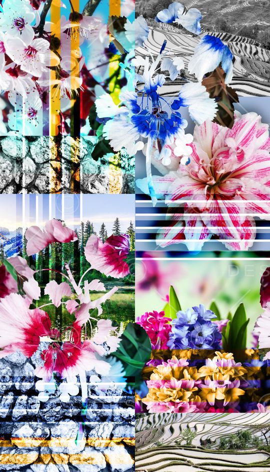 花卉、纹理、风景印花华亿平台图片